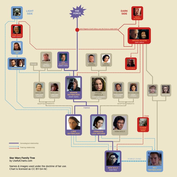 John Adams Family Tree 2019 Fransisca Amaya