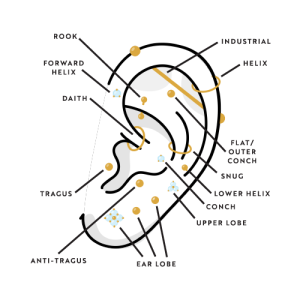 Labelled Ear Piercings Essential Beauty Piercing