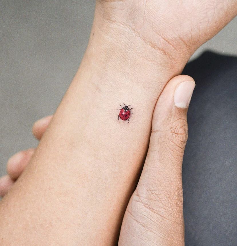 Ladybug Tattoo On My Own Foot Lady Bug Tattoo Clover Tattoos