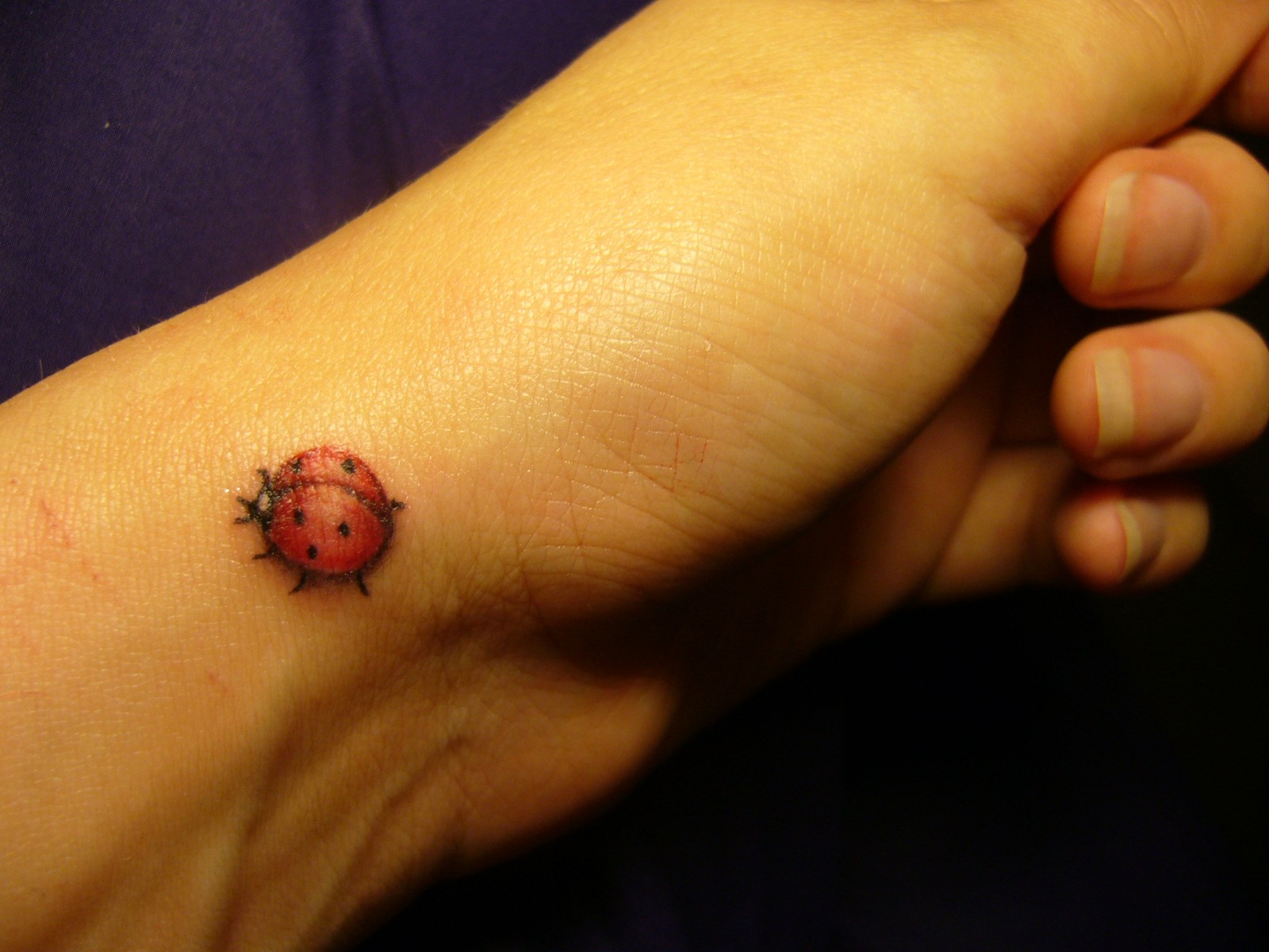 Ladybug Tattoos Designs Ideas And Meaning Tattoos For You