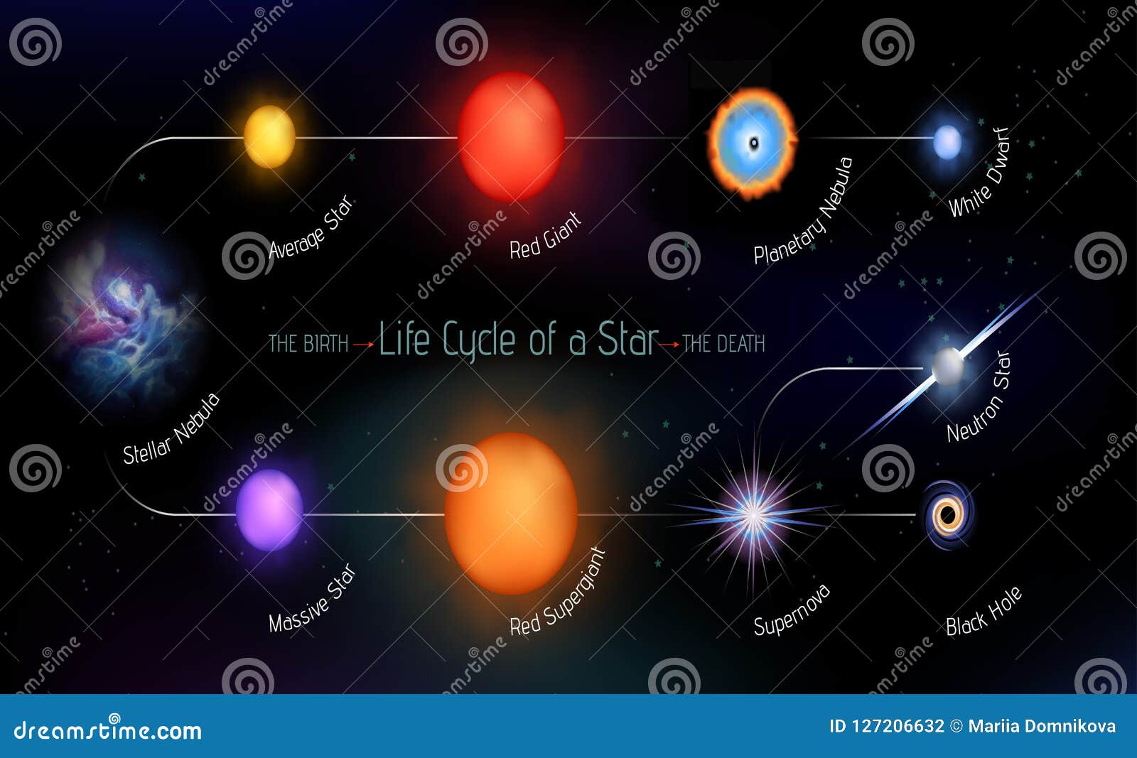 Life Cycle Of A Star Stock Vector Illustration Of Space 127206632