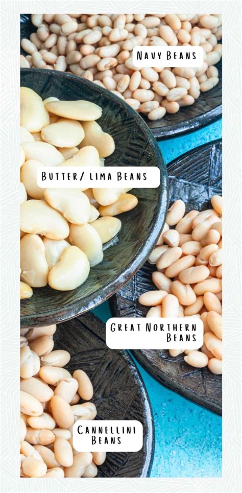 Lima Beans Vs Navy Beans What Is The Difference