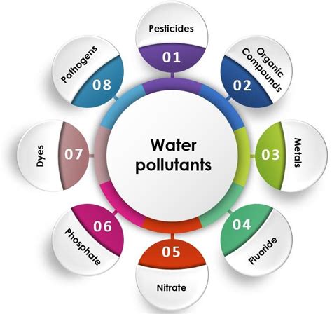 Major Types Of Water Pollutants With Examples And Their Environmental