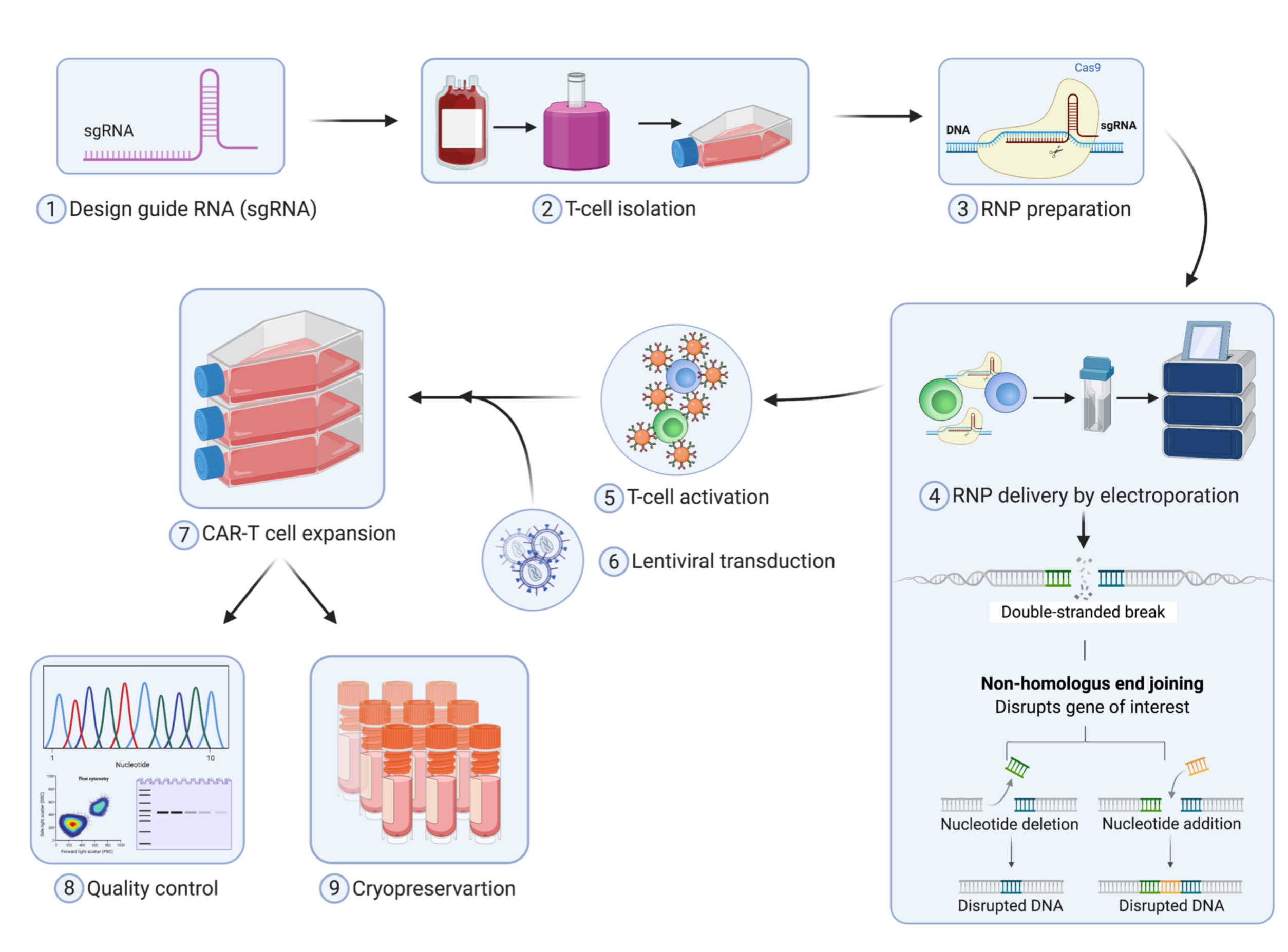 Mark Hester Talks About Using Crispr Engineered Patient Cells To