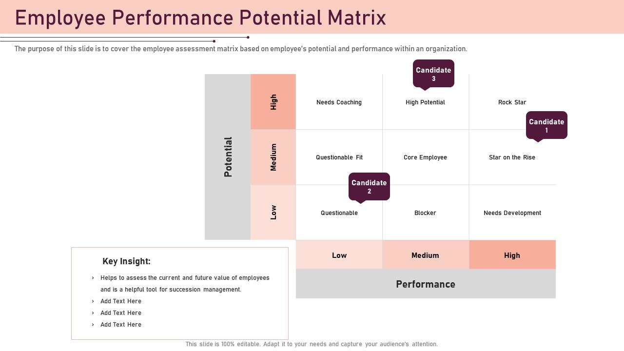 Maximising Personal Performance And Potential Ppt Download