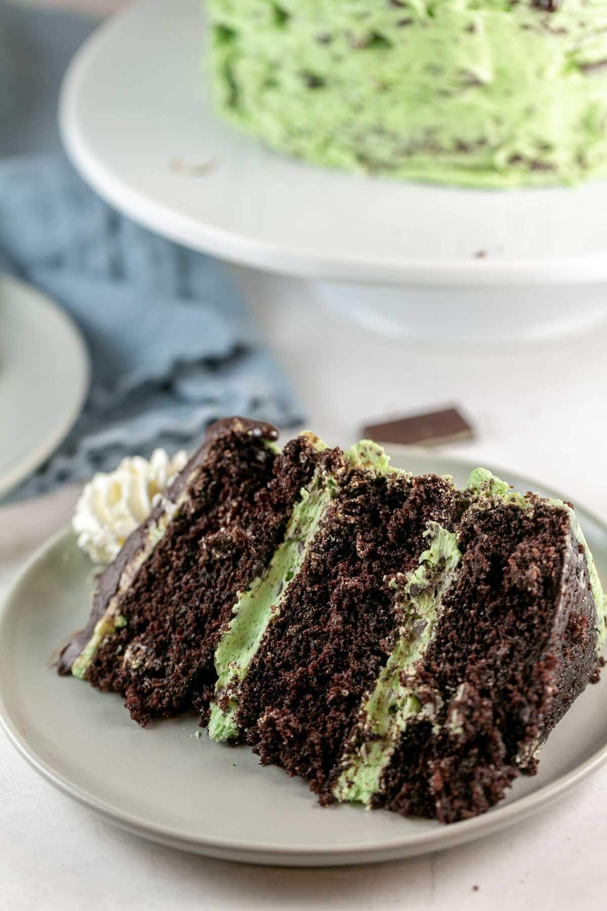 Mint Chocolate Chip Cake Bunsen Burner Bakery