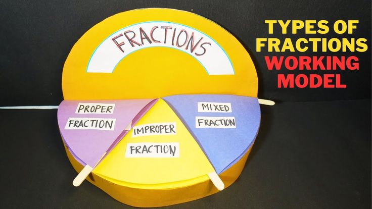 Model On Types Of Fraction School Project On Types Of Fraction