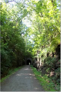 My Family Forest In Southern Illinois Tunnel Hill State Trail Vienna