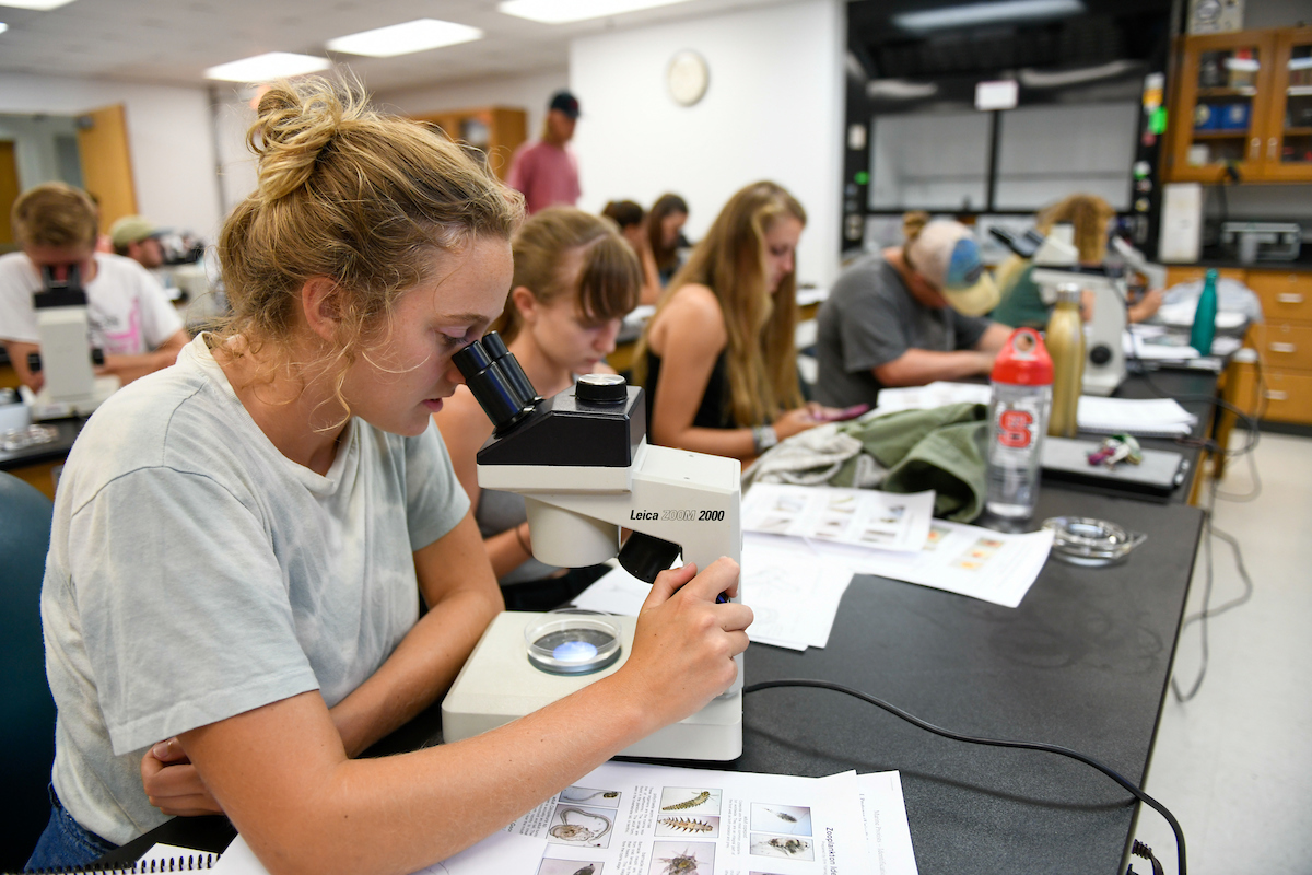 Nc State Courses Coastal Resilience And Sustainability Initiative