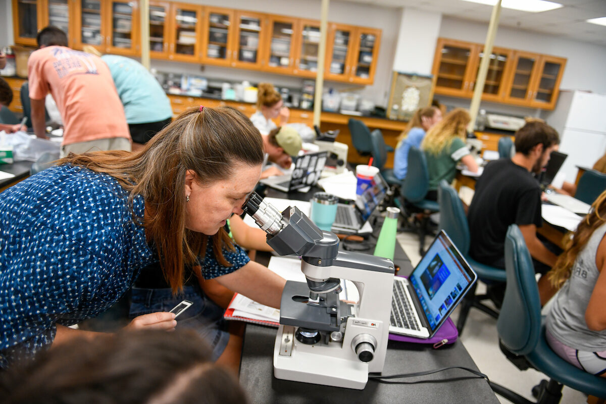 Nc State Courses Kiets Climate Leaders Program