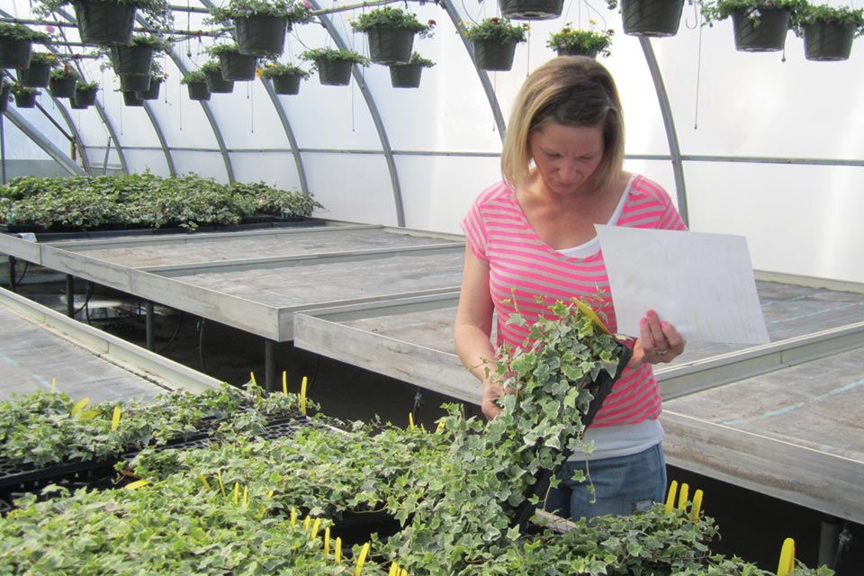 New Salary Data Shows Promise Of Horticulture Careers Greenhouse