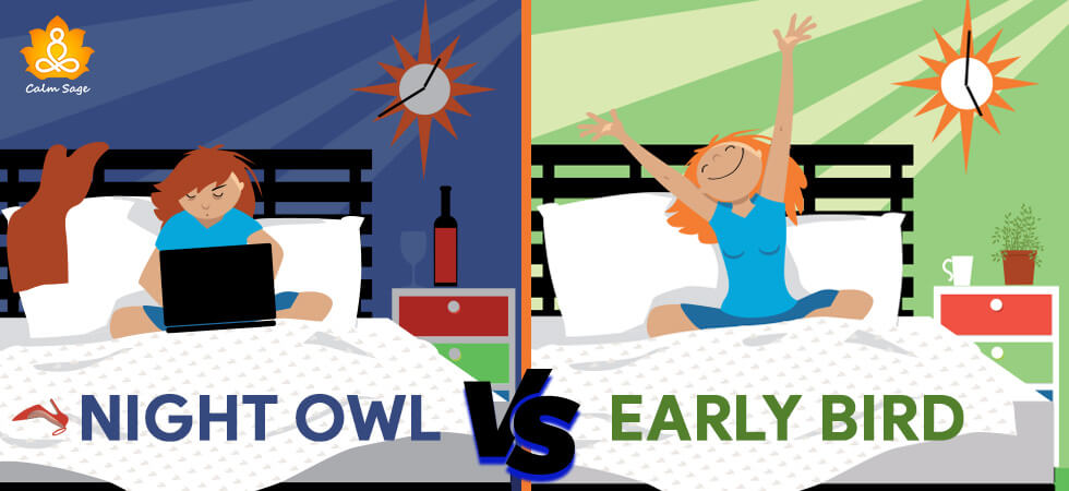 Night Owl Vs Early Bird Is One Better Than The Other Podcast