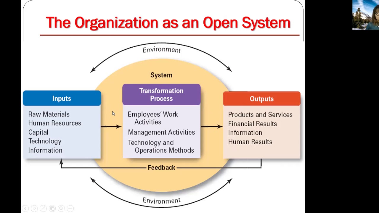 Organizations As Open Systems Youtube