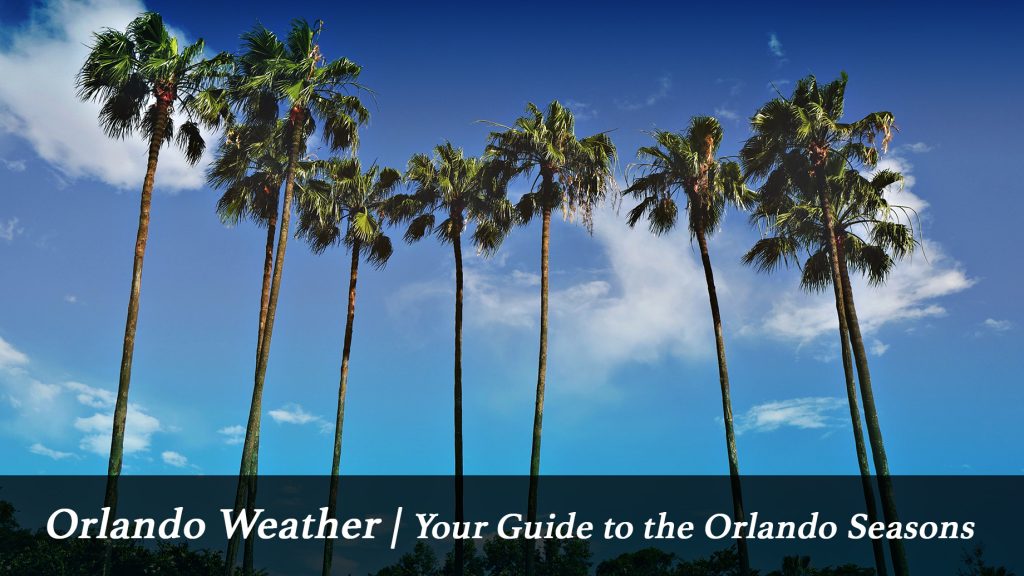 Orlando Weather Your Guide To The Orlando Seasons Travoh