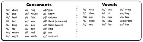 Phonetics What Is Ipa Global Speech Therapy