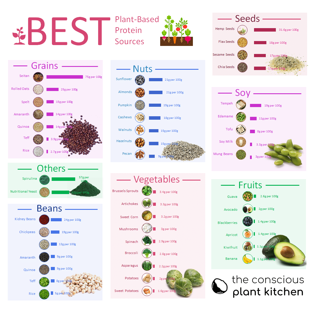 Pin On Protein Foods