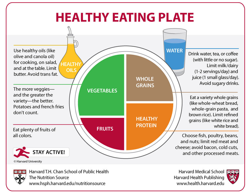 Plant Based Diet Power Up Your Health