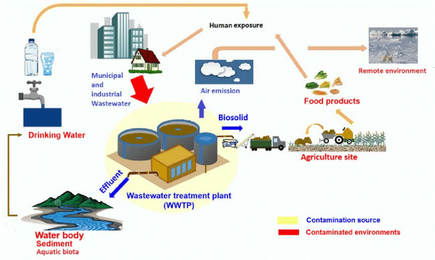 Ppt Pfas Treatment Plant For Pfas Contaminated Mining Powerpoint