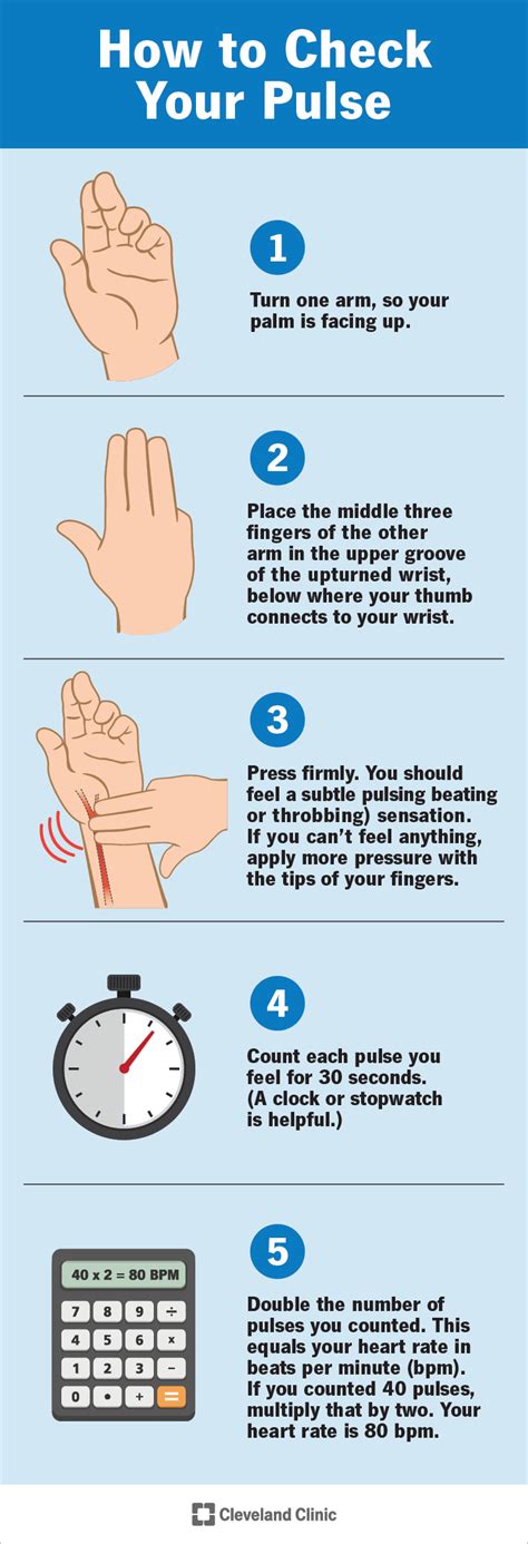 Pulse What It Is And How To Check