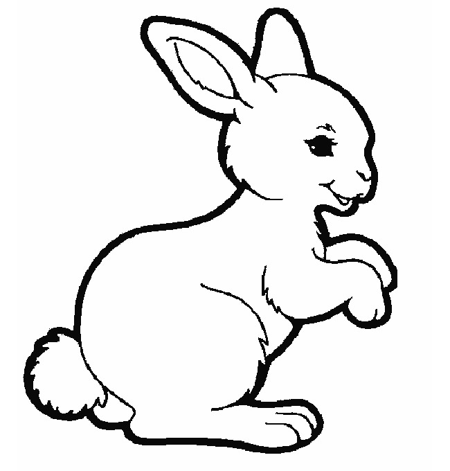 Rabbit Outline Drawing At Getdrawings Free Download