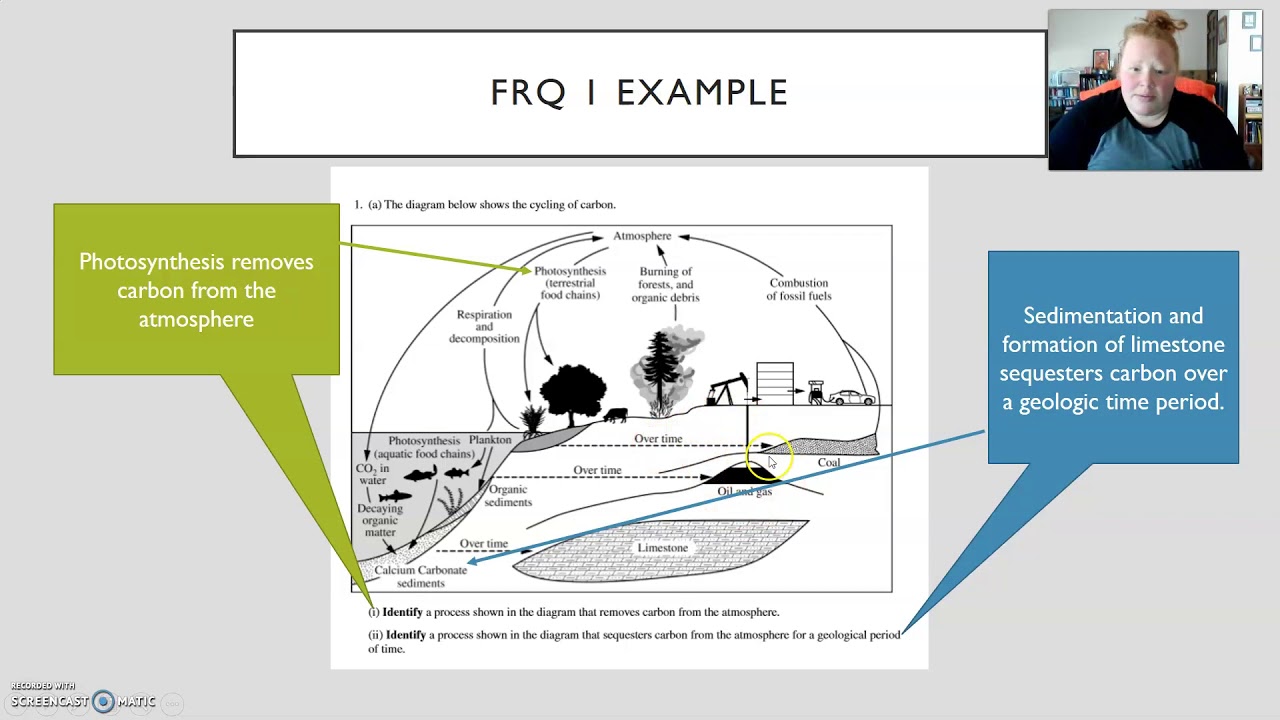 Raise Your Apes Frq Scores 20% With This Secret Tip - Youtube