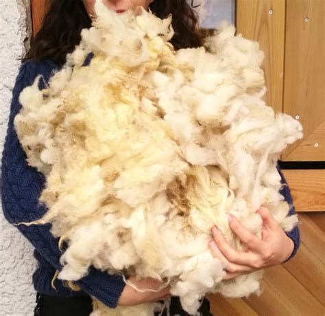 Raw Wool