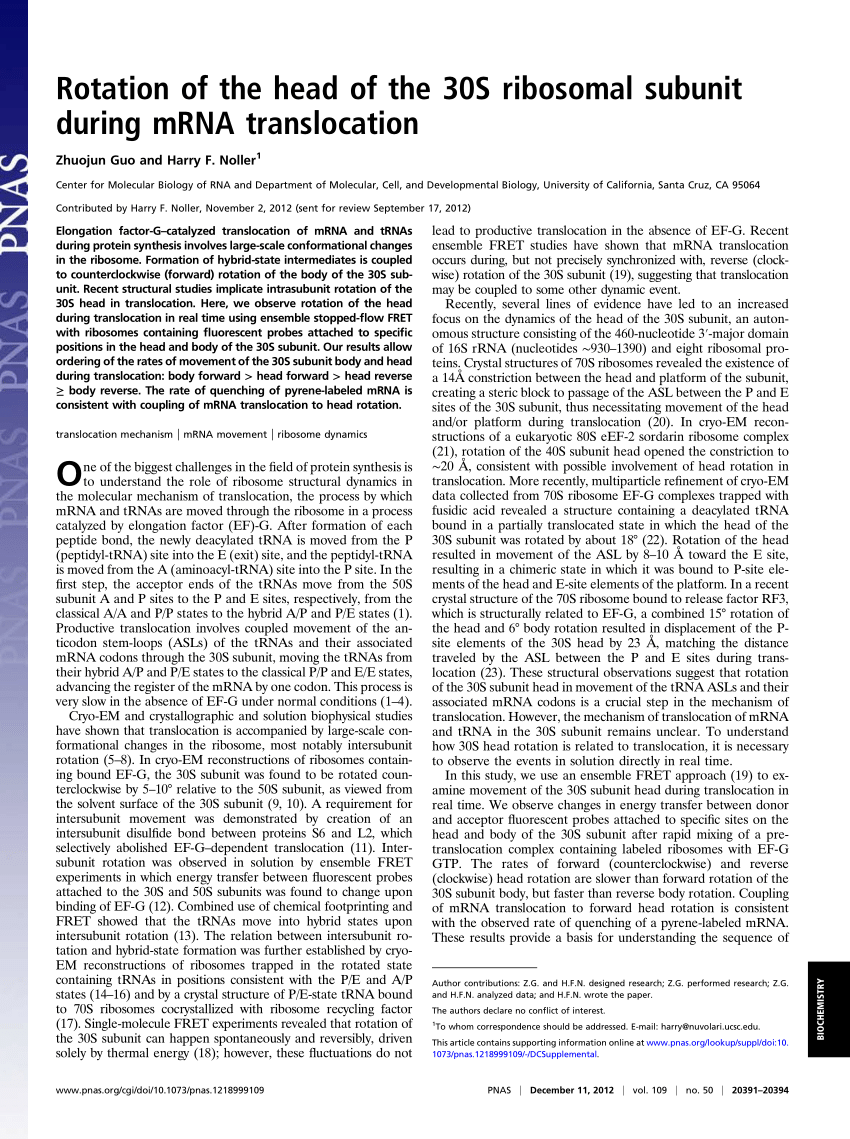 Rotation Of The Head Of The 30S Ribosomal Subunit During Mrna