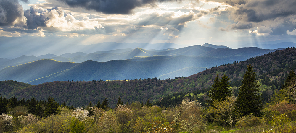 Rural Psychiatry Residency