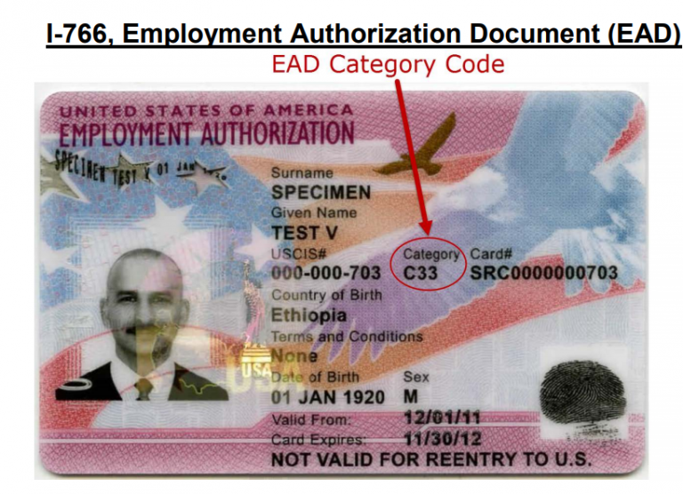 Sample H4 Ead Card By Uscis C 26 Category Form I 766 Redbus2us