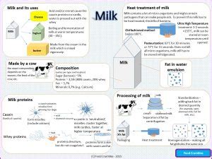 Science Of Milk Explained In One Image Infographic Foodcrumbles