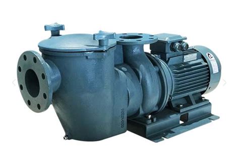 Se Series Commercial Iron Pump Emaux Pool And Spa Equipment