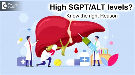 Sgpt Normal Range Reduction Of Elevated Ast And Alt Levels Resulting