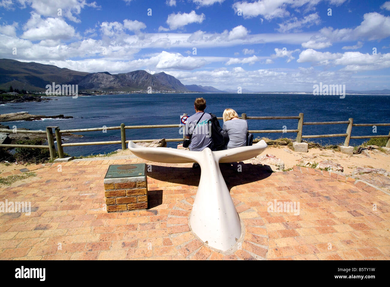 Shark Lady Adventures In Hermanus Walker Bay South Africa Diving Full Details