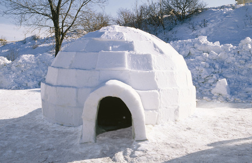 Shelter And Transportation Arctic Native Americans