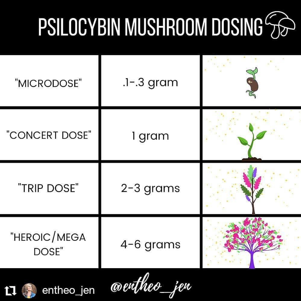 Shrooms Dosage Chart Calculator How To Guide