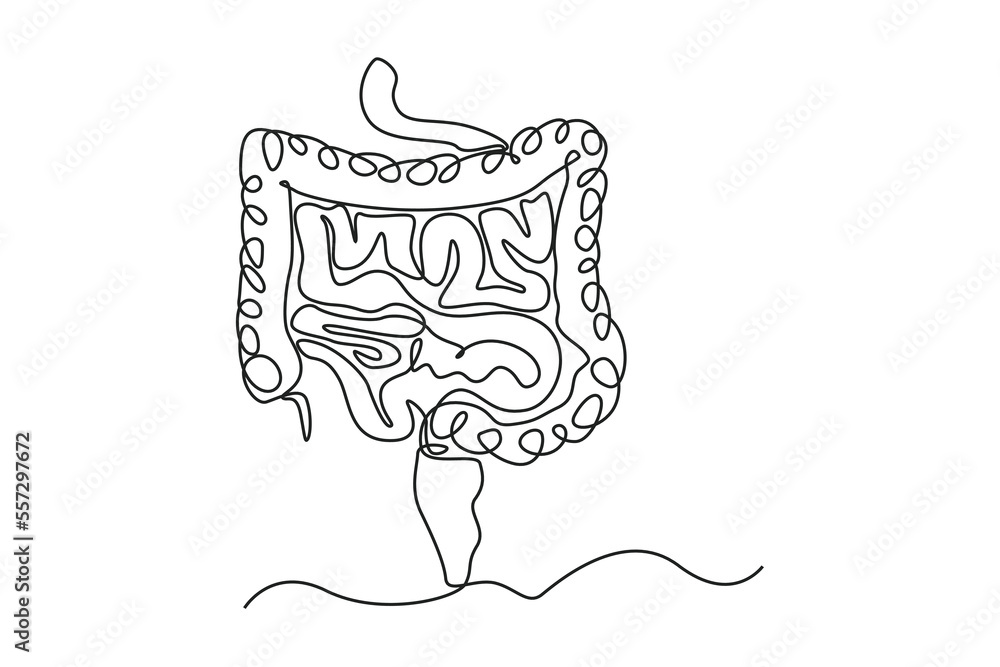 Single One Line Drawing Intestines Anatomy Human Organ Concept