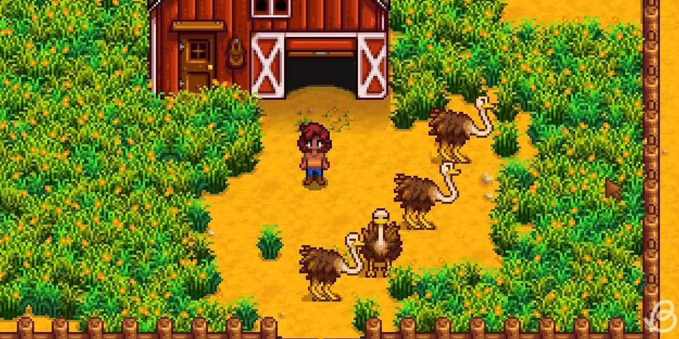 Stardew Valley How To Get All Catalogues