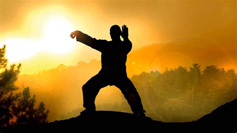 Tai Chi Wallpapers Top Free Tai Chi Backgrounds Wallpaperaccess