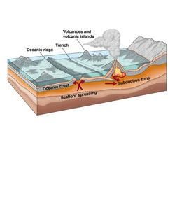 The Greatest Quiz On Tectonic Plates You Ll Ever Attempt Proprofs Quiz