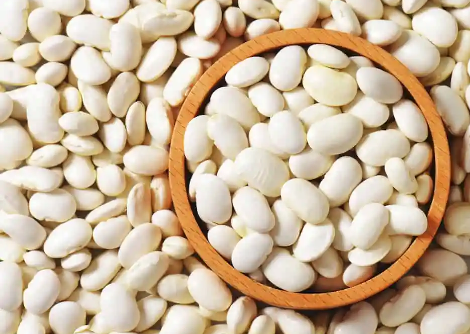 The Health Benefits Of Great Northern Beans A Nutritional Powerhouse