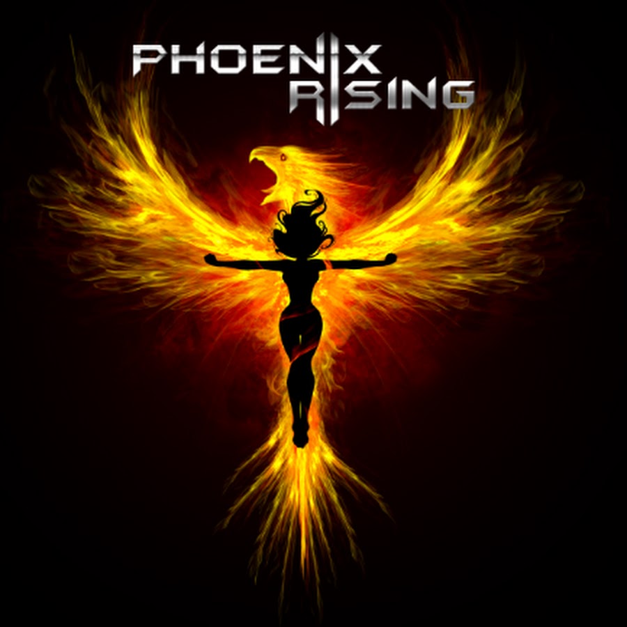 The Power Of Resilience A Phoenix S Rise From The Ashes Youtube