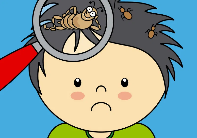 Things To Know About Head Lice