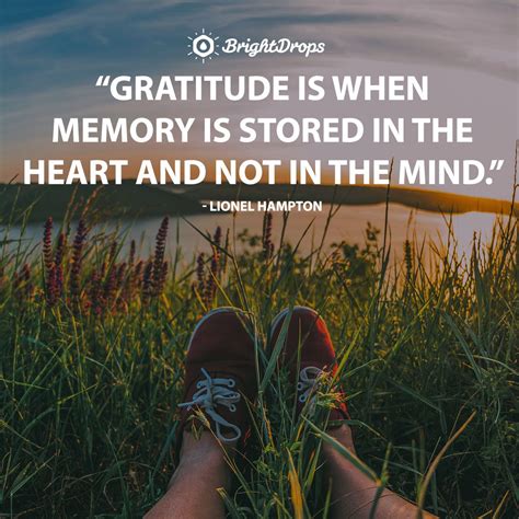 Today We Appreciate What Life Brings To Us Show Gratitude To