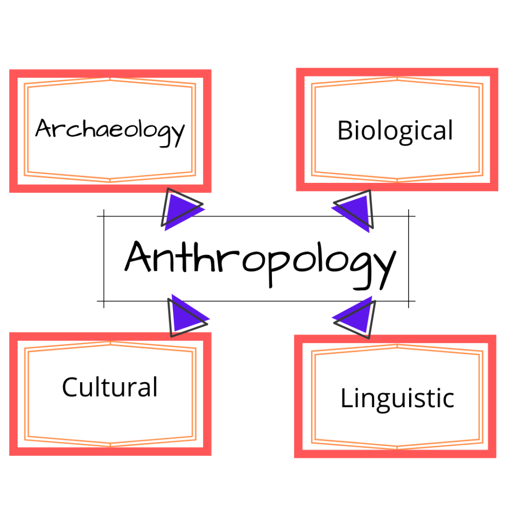 Top Universities To Study Anthropology In Australia 2020 Excel Education Study In Australia