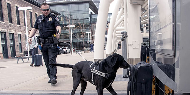 Transit Police Careers Rtd Denver