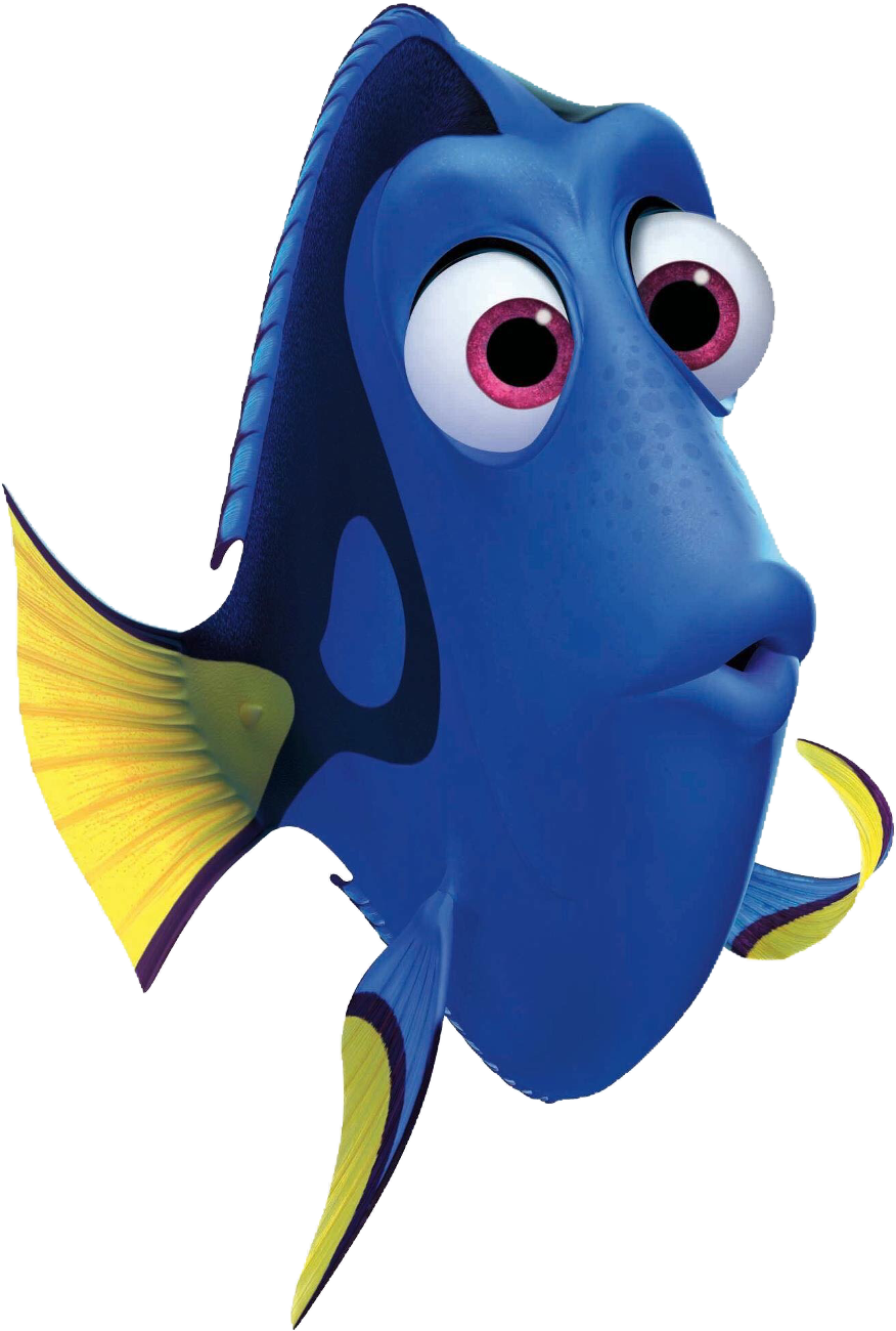 Transparent Finding Dory Seal Free Transparent Clipart Clipartkey