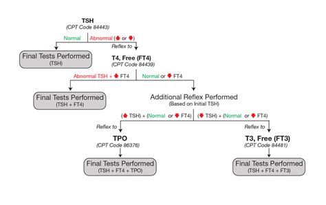 Tsh W Reflex Free T4: The Essential Guide To Interpreting Your Results ...