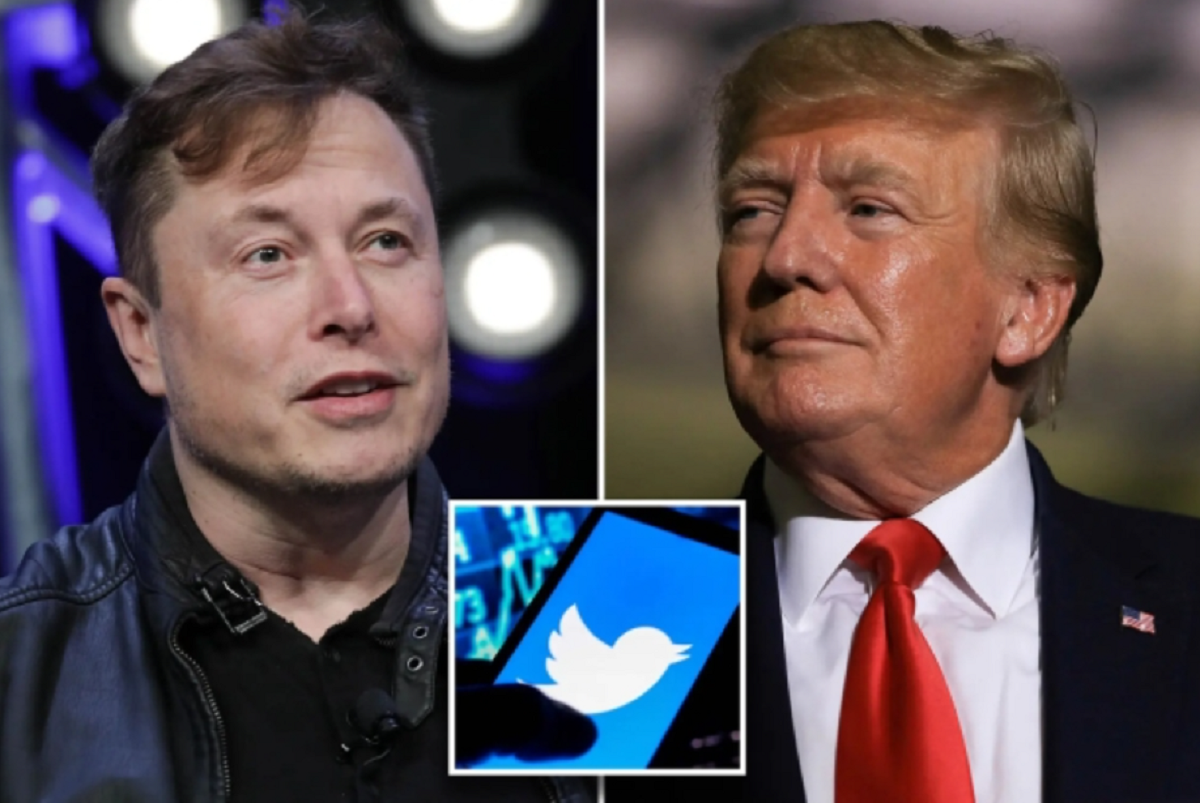 Twitter Founder Reacts To Elon Musk S Decision To Unban Donald Trump