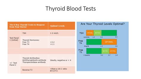 Ultimate Guide Tsh W Reflex To Ft4 Testing