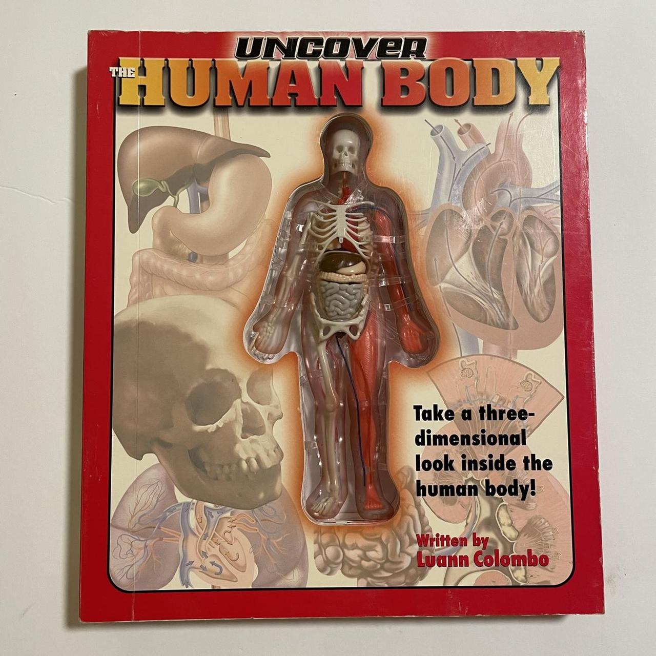 Uncover The Human Body By Luann Columbo